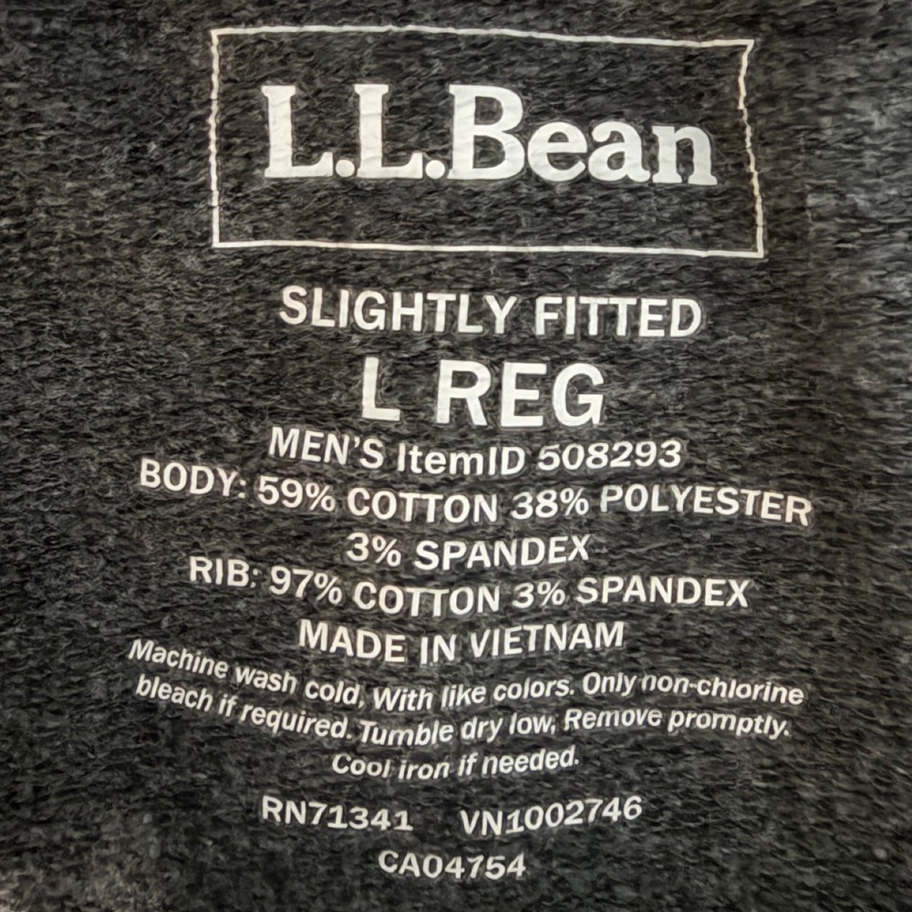LL Bean Men's L Hoodie Gray Graphic Logo Mountain Sweatshirt Regular 508293 - Picture 4 of 5